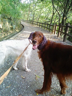 img20071029_1.jpg