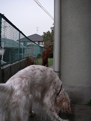 img20071127_1.jpg
