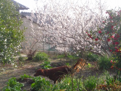 img20070228_4.jpg