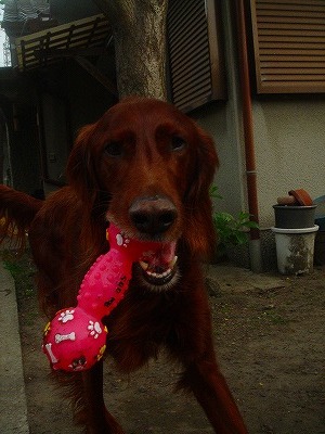 img20070427_7.jpg