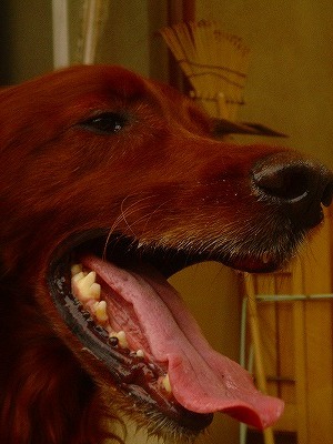 img20070628.jpg
