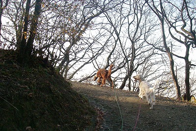 img20071230_2.jpg