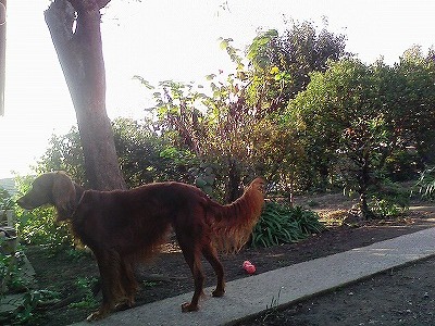 img20071031_1.jpg
