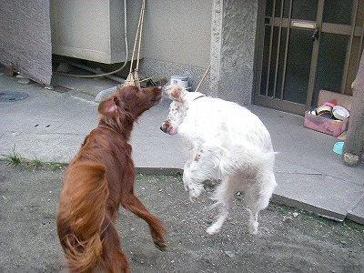 img20080312_8.jpg