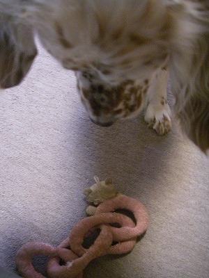 img20080322.jpg