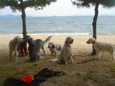 img20070614_4.jpg