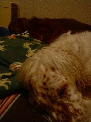 img20070930.jpg