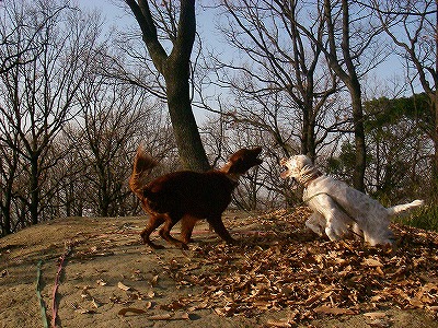 img20071227_2.jpg