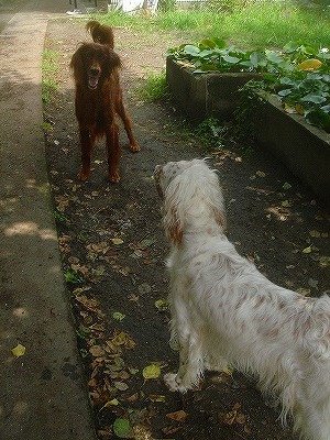 img20070731_1.jpg