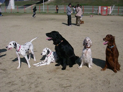 img20080315_7.jpg
