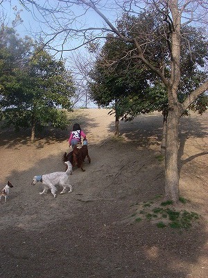 img20080317_4.jpg