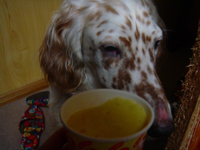 img20061228.jpg