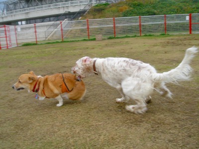 img20061129_3.jpg