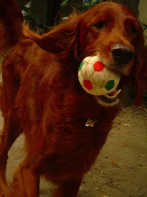 img20070630_3.jpg