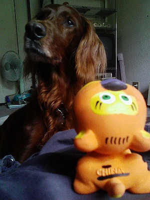 img20071027_1.jpg
