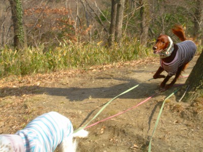 img20070129_2.jpg
