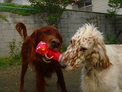 img20070427_4.jpg