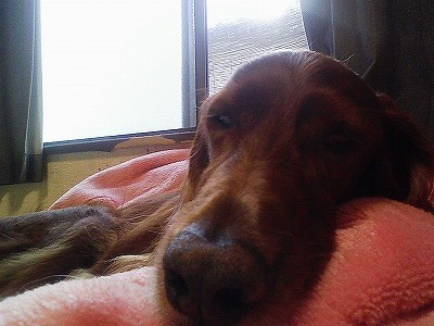 img20071030_1.jpg