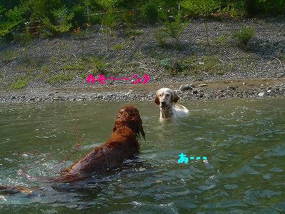 img20070930_1.jpg