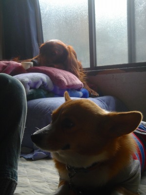 img20070128_2.jpg