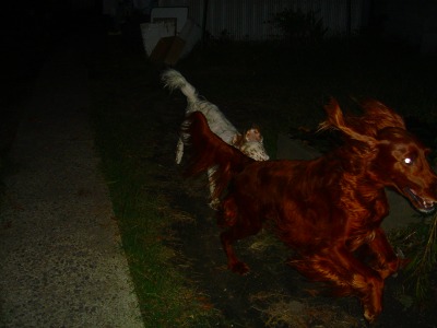 img20060830_1.jpg