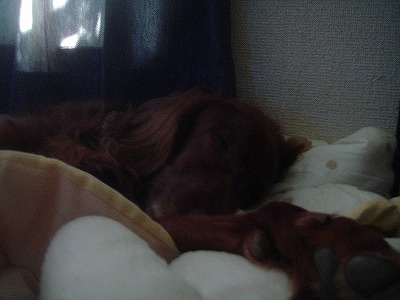 img20070728.jpg