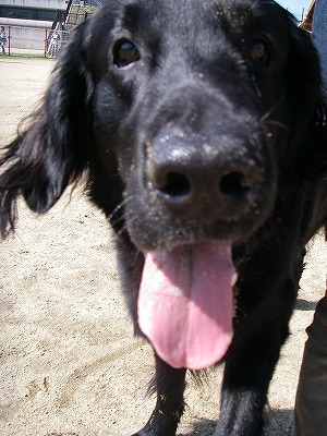 img20080315_4.jpg