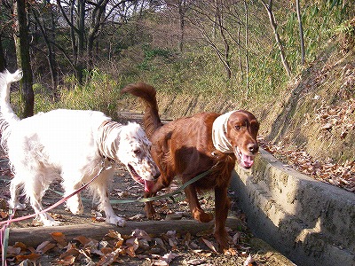 img20071227_5.jpg
