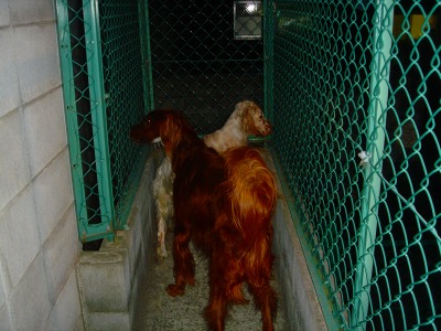 img20060830_2.jpg
