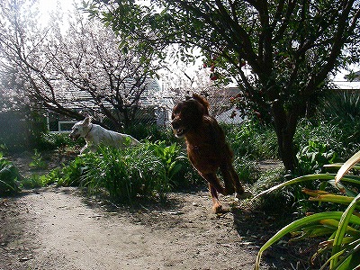 img20080318_2.jpg