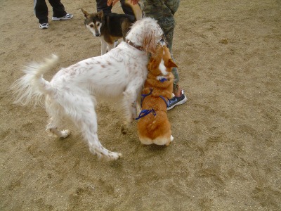 img20061129_4.jpg