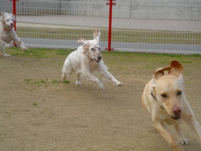 img20070227_2.jpg