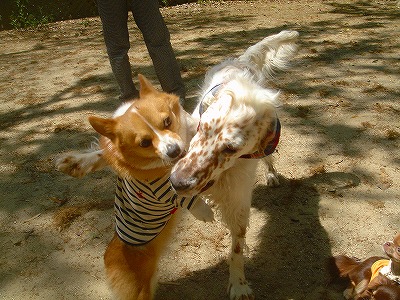 img20070430_4.jpg
