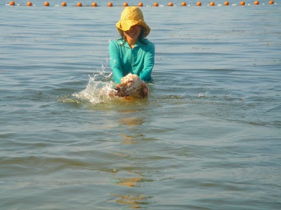 img20060805_4.jpg