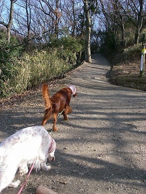 img20080303.jpg