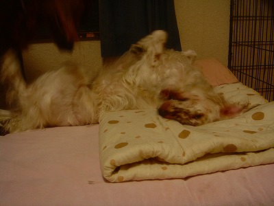 img20070927.jpg