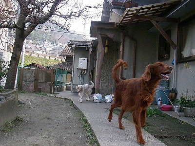 img20080312.jpg