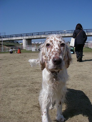 img20080315_8.jpg