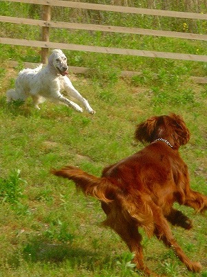 img20070527_6.jpg