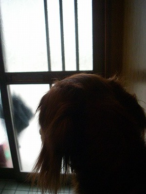 img20080322.jpg