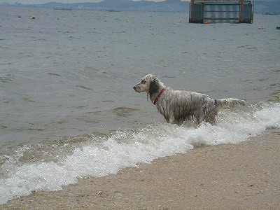 img20070614_2.jpg