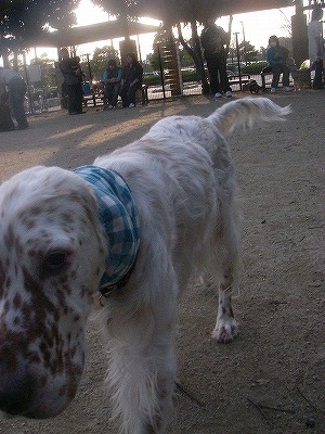 img20080317_3.jpg