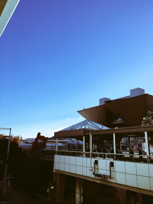 写真 2016-12-11 8 02 31