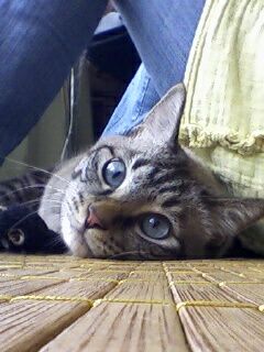 img20080831_1.jpg