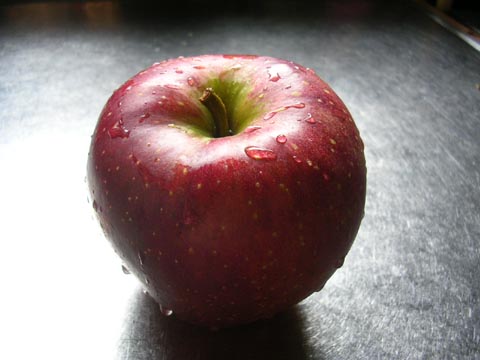 dscn6839.jpg