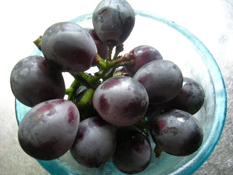dscn5485.jpg