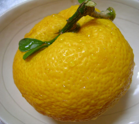 dscn2402.jpg