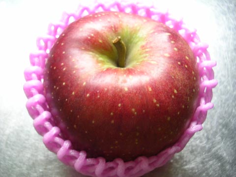 dscn6837.jpg