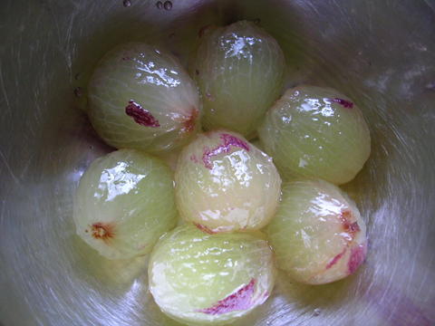 dscn5483.jpg