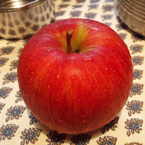 pa230022.jpg